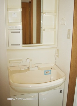 シャンプードレッサー